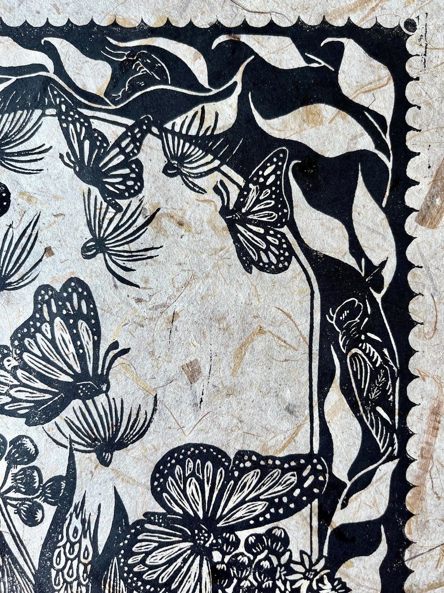 Boundless: Ecosystems that melt I.C.E