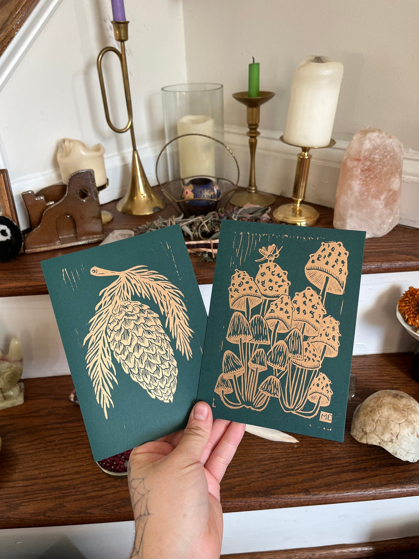 Spruce Cone Greeting Card