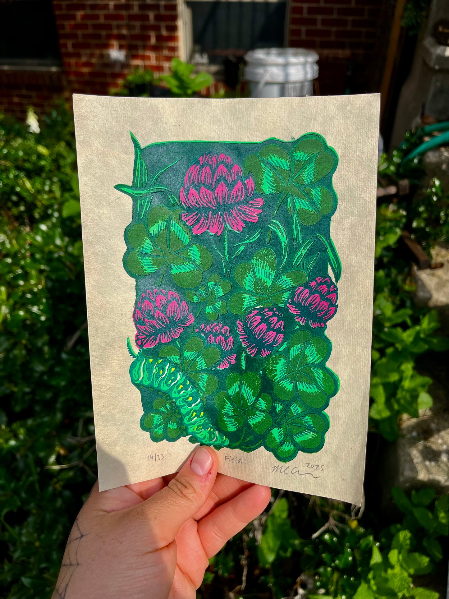 Clover Field