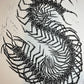 Eye Centipede